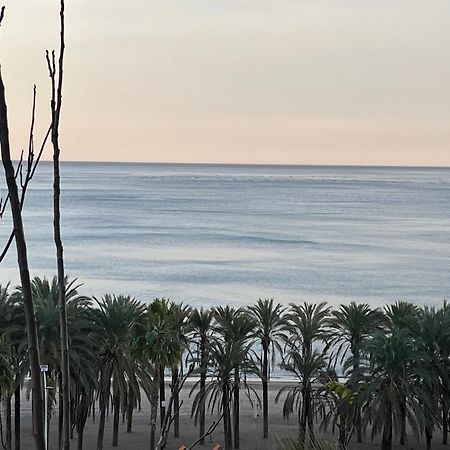 شقة Sol Y Paz توريمولينوس المظهر الخارجي الصورة
